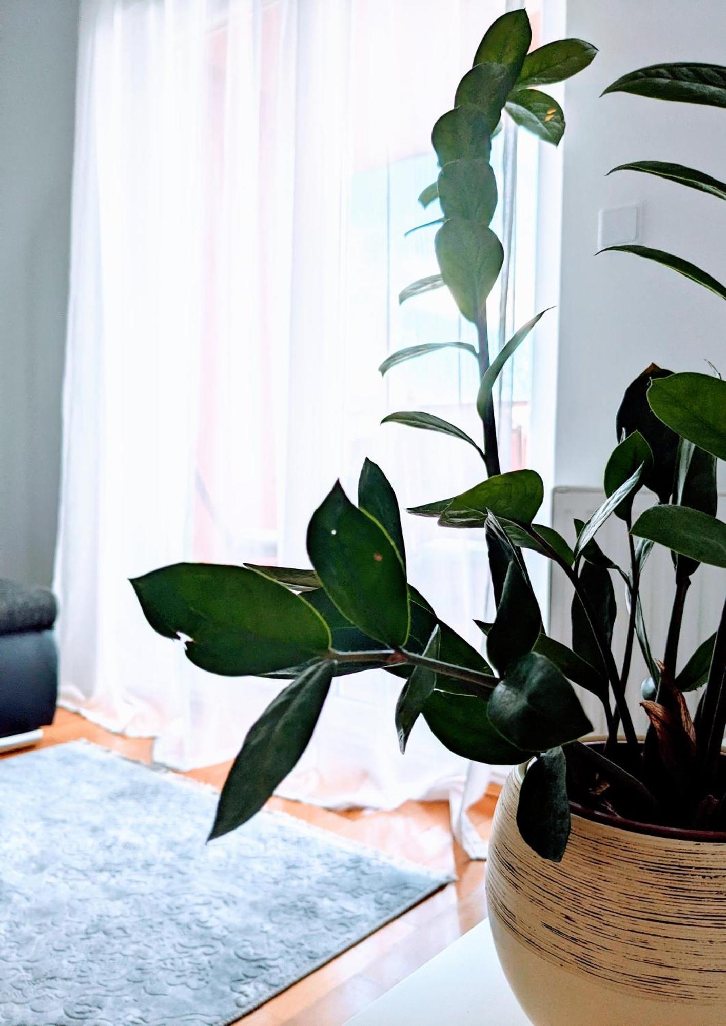 Doma-Lu Apartment-Near Airport And Highway- Free Parking Velika Mlaka Buitenkant foto